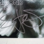 Deftones - Diamond Eyes (Vinil Branco)