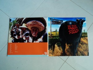 Blink 182 - Dude Ranch (Vinil Verde)