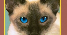 Blink-182 - Chesire Cat