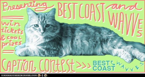Best Coast lança concurso de legendas para a foto do gatinho de Bethany Cosentino.