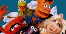 Muppets fará cover de Nirvana