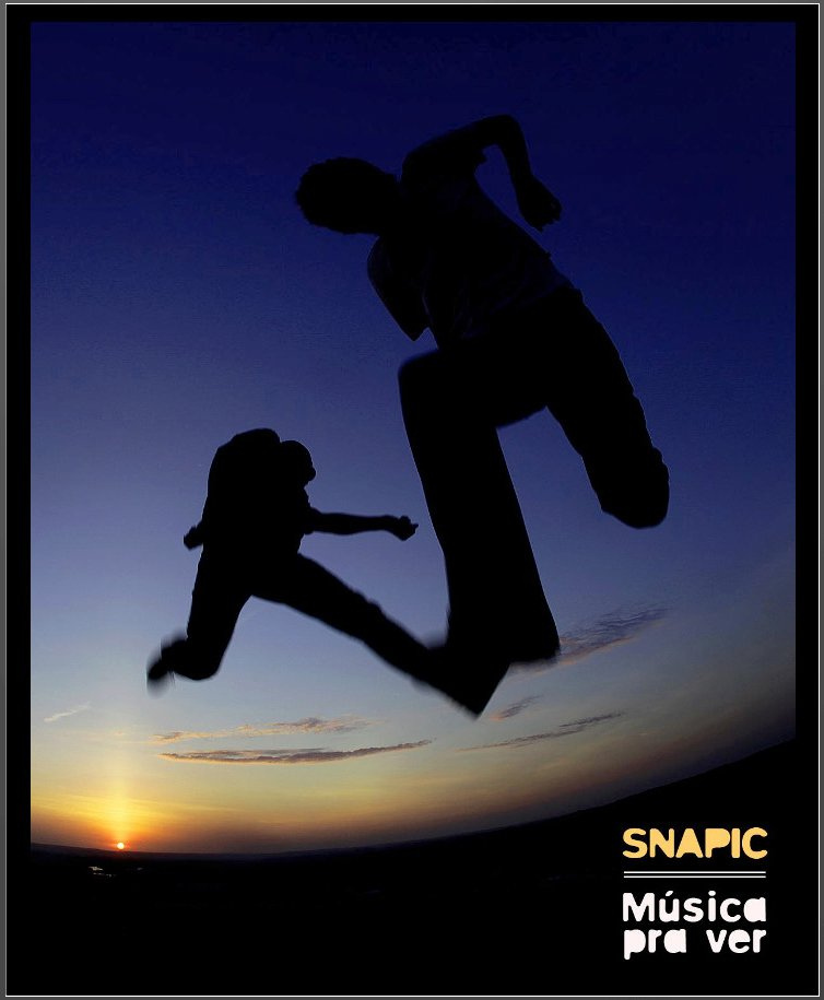 Capa do livro Snapic - Música pra ver