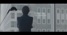 Antony And The Johnsons - Cut The World