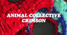 Animal Collective - Crimson