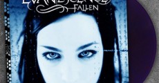 Evanescence-vinil-comemorativo-10-anos