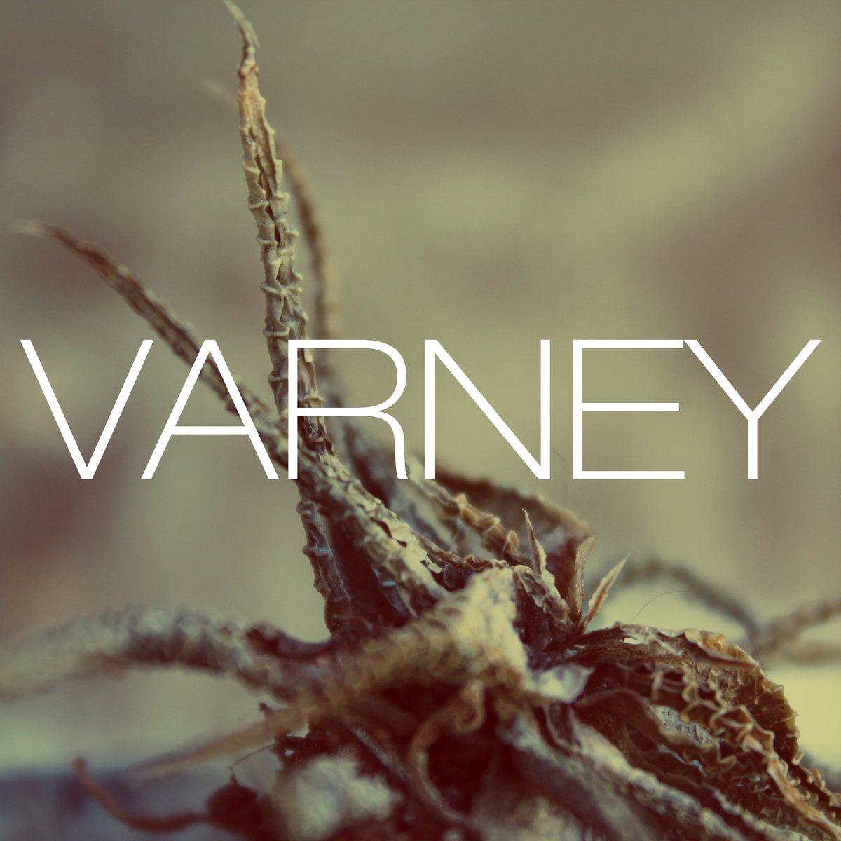 Varney - Varney