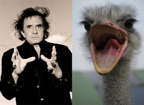 Johnny Cash se envolve em briga com avestruz