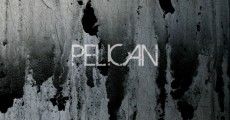 pelican-deny-the-absolute-cover
