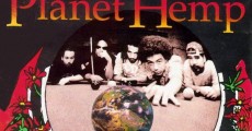 Planet-Hemp-Usuario-1995-20-anos