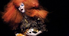 Björk anuncia novo álbum