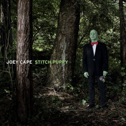 joey-cape-stitch-puppy