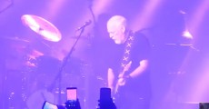 David Gilmour toca Purple Rain do Prince