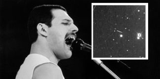 Freddie Mercury vira nome de asteroide