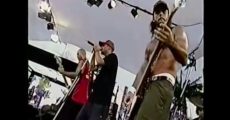 Dead Fish e Tihuana tocando NOFX e RATM no Covernation MTV