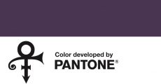 Pantone lança roxo em homenagem a Prince