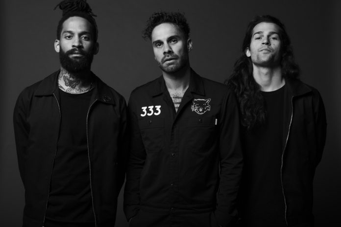 The Fever 333