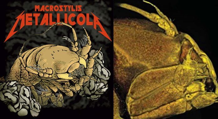 Crustáceo do Metallica
