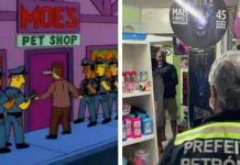 Simpsons e o "bar pet shop" de Petrópolis