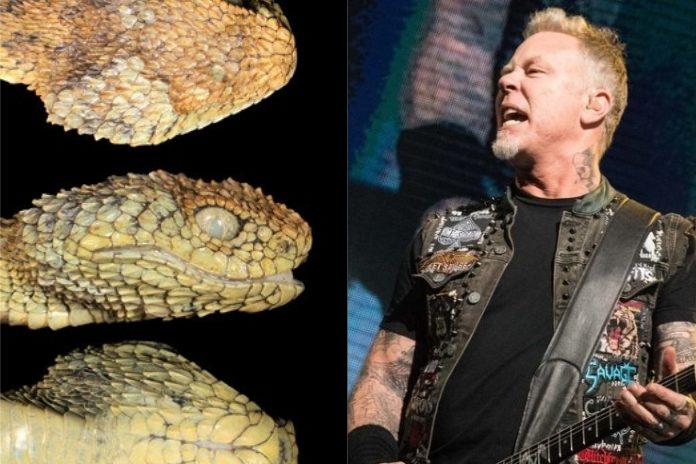 James Hetfield do Metallica