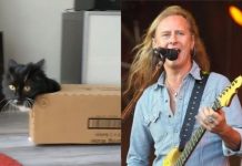 Vídeo de gato viraliza ao som de "Man in the Box" do Alice in Chains