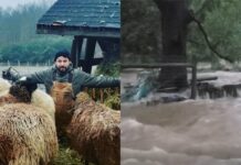 Abrigo de animais apoiado por guitarrista do Suicidal Tendencies é atingido por inundações remanescentes do Furacão Ida