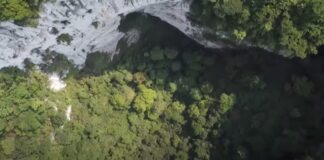 Floresta impressionante é descoberta na China