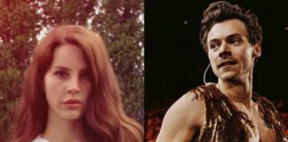 Lana Del Rey e Harry Styles viram temas de cursos em faculdades dos EUA