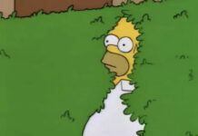 Meme Homer Simpsons arbustos
