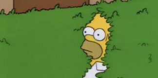 Meme Homer Simpsons arbustos