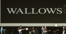 Wallows com Dylan Minnette no Lollapalooza Brasil