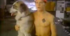 Flea apresentando programa da MTV ao lado de cachorro