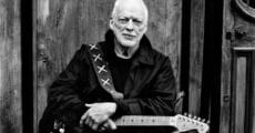 David Gilmour em 2024